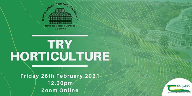 Try Horticulture Virtual Open Day by Teagasc College of Amenity Horticulture