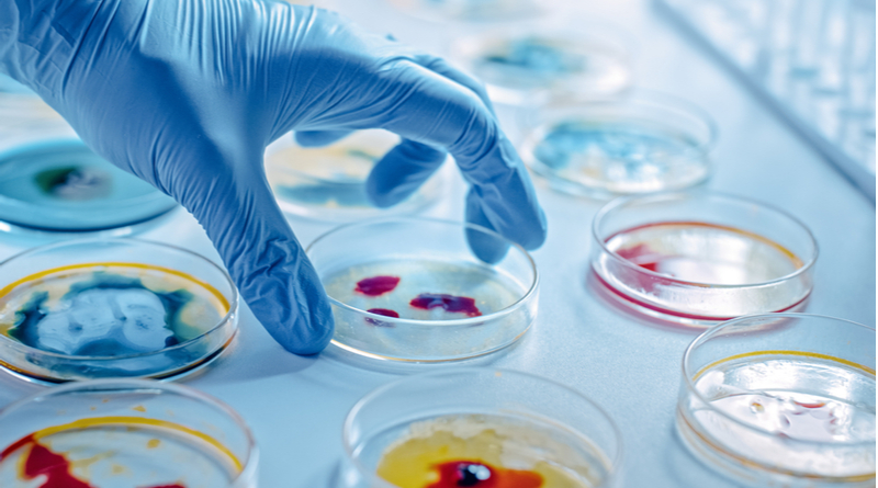 Microbiology Courses