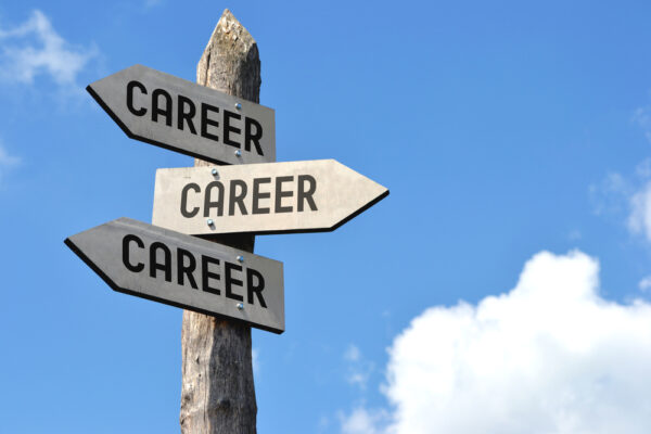 Career Path Options