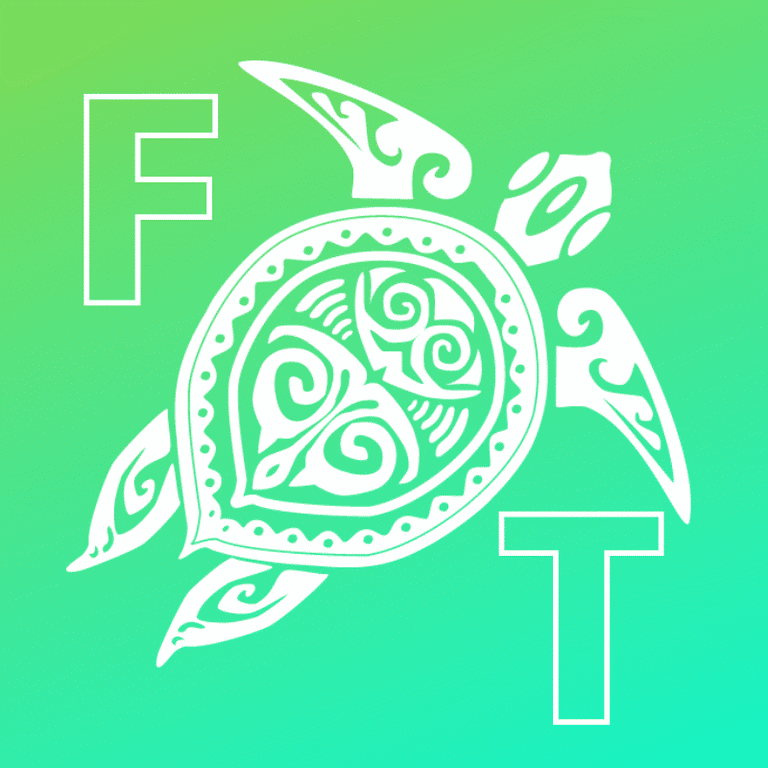 Spotlight On Flying Turtle Productions